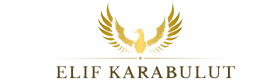 Elif Karabulut Akademi